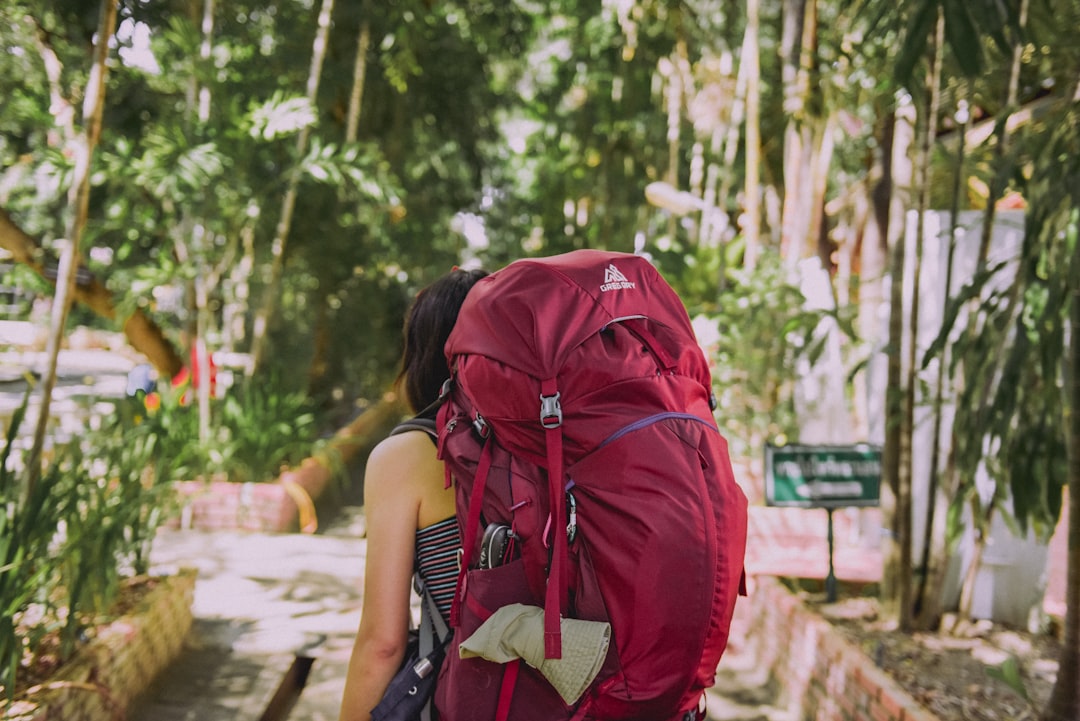 backpacker, woman, back view